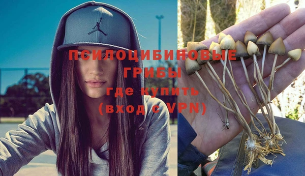 прущая мука Вязьма